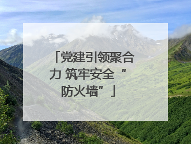 党建引领聚合力 筑牢安全“防火墙”