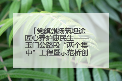 党旗飘扬筑坦途 匠心养护惠民生——玉门公路段“两个集中”工程暨示范桥创建项目圆满收官