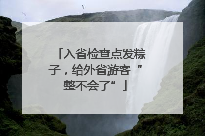 入省检查点发粽子，给外省游客“整不会了”