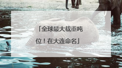 全球最大载重吨位！在大连命名