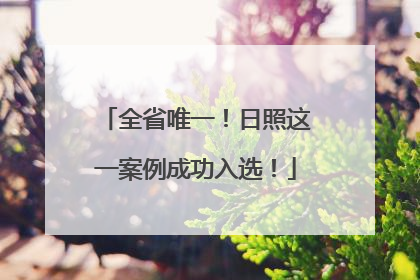 全省唯一！日照这一案例成功入选！