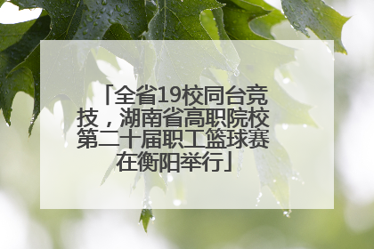全省19校同台竞技，湖南省高职院校第二十届职工篮球赛在衡阳举行