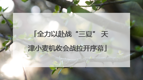 全力以赴战“三夏” 天津小麦机收会战拉开序幕