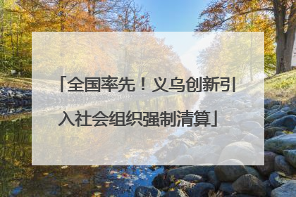 全国率先！义乌创新引入社会组织强制清算