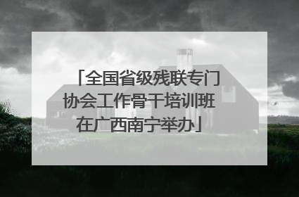 全国省级残联专门协会工作骨干培训班在广西南宁举办
