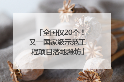 全国仅20个！又一国家级示范工程项目落地潍坊
