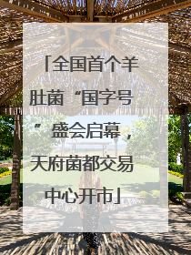 全国首个羊肚菌“国字号”盛会启幕，天府菌都交易中心开市