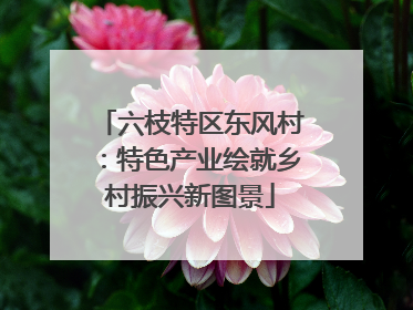 六枝特区东风村：特色产业绘就乡村振兴新图景