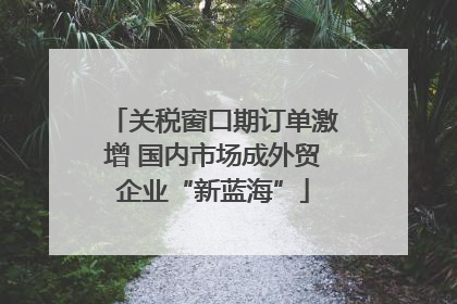 关税窗口期订单激增 国内市场成外贸企业“新蓝海”