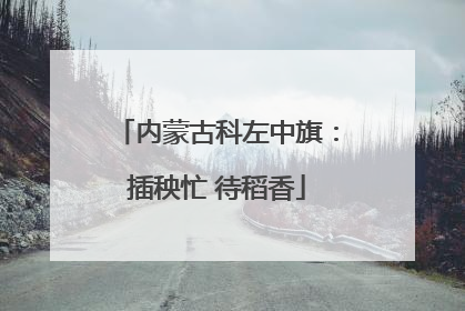 内蒙古科左中旗：插秧忙 待稻香