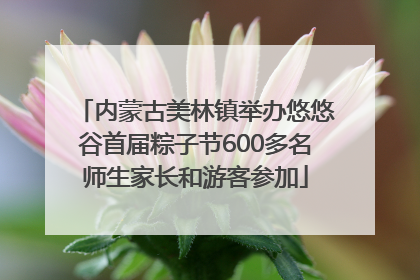 内蒙古美林镇举办悠悠谷首届粽子节600多名师生家长和游客参加