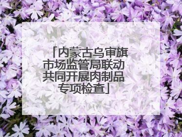 内蒙古乌审旗市场监管局联动共同开展肉制品专项检查