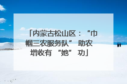 内蒙古松山区：“巾帼三农服务队” 助农增收有 “她” 功