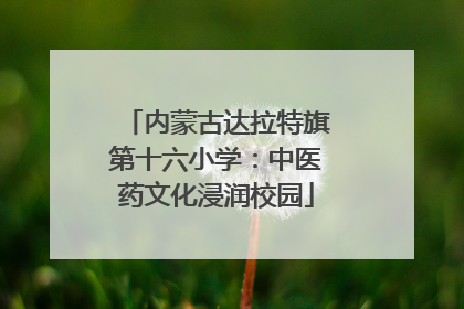 内蒙古达拉特旗第十六小学：中医药文化浸润校园