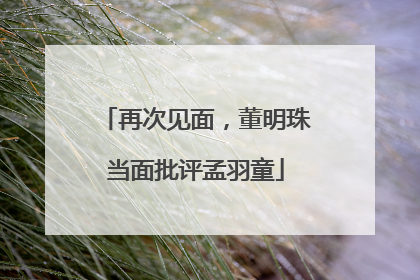 再次见面，董明珠当面批评孟羽童
