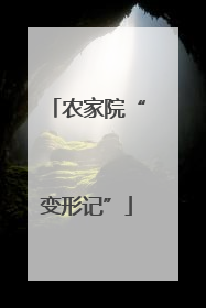 农家院“变形记”