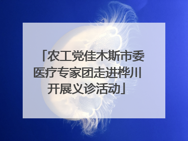 农工党佳木斯市委医疗专家团走进桦川开展义诊活动