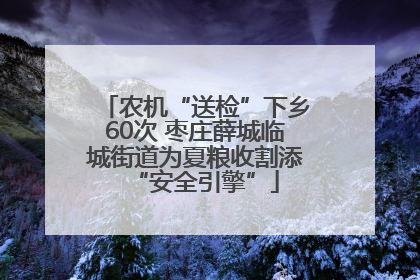 农机“送检”下乡60次 枣庄薛城临城街道为夏粮收割添“安全引擎”