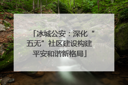 冰城公安：深化“五无”社区建设构建平安和谐新格局