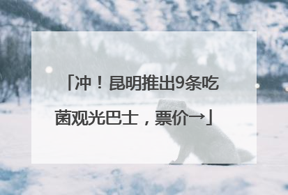 冲！昆明推出9条吃菌观光巴士，票价→