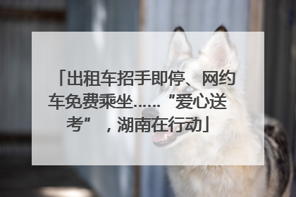 出租车招手即停、网约车免费乘坐……“爱心送考”，湖南在行动