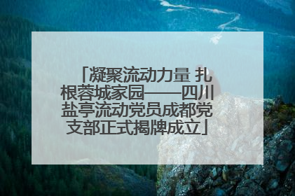 凝聚流动力量 扎根蓉城家园——四川盐亭流动党员成都党支部正式揭牌成立