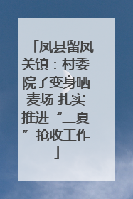 凤县留凤关镇：村委院子变身晒麦场 扎实推进“三夏”抢收工作