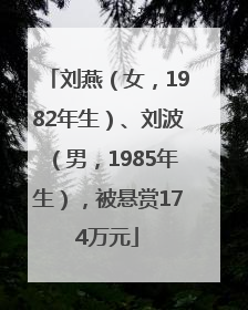 刘燕（女，1982年生）、刘波（男，1985年生），被悬赏174万元