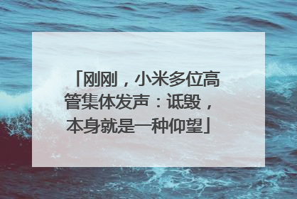 刚刚，小米多位高管集体发声：诋毁，本身就是一种仰望