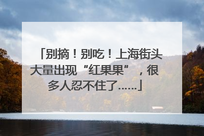 别摘！别吃！上海街头大量出现“红果果”，很多人忍不住了……