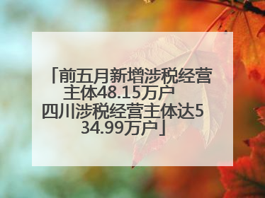 前五月新增涉税经营主体48.15万户 四川涉税经营主体达534.99万户