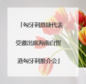 匈牙利恩捷代表受邀出席海南自贸港匈牙利推介会