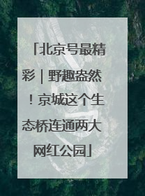 北京号最精彩｜野趣盎然！京城这个生态桥连通两大网红公园