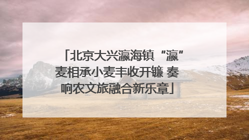 北京大兴瀛海镇“瀛”麦相承小麦丰收开镰 奏响农文旅融合新乐章