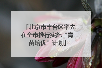 北京市丰台区率先在全市推行实施“青苗培优”计划