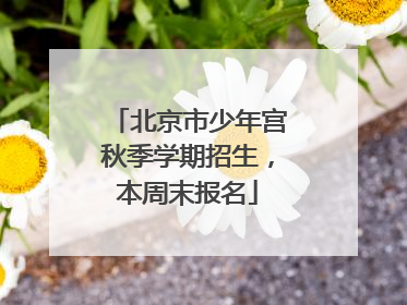 北京市少年宫秋季学期招生，本周末报名