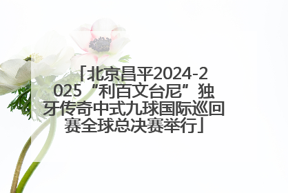 北京昌平2024-2025“利百文台尼”独牙传奇中式九球国际巡回赛全球总决赛举行