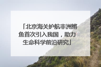 北京海关护航非洲鳉鱼首次引入我国，助力生命科学前沿研究