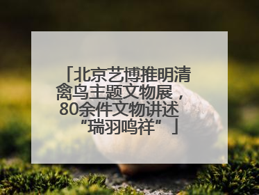 北京艺博推明清禽鸟主题文物展，80余件文物讲述“瑞羽鸣祥”