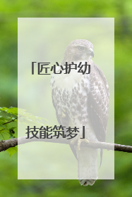 匠心护幼 技能筑梦