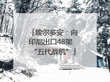 埃尔多安：向印尼出口48架“五代战机”