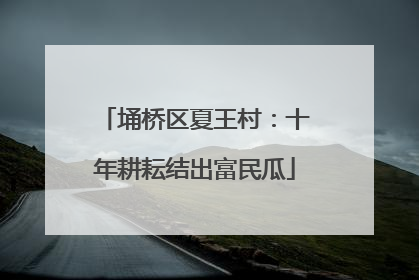 埇桥区夏王村：十年耕耘结出富民瓜