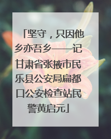 坚守，只因他乡亦吾乡——记甘肃省张掖市民乐县公安局扁都口公安检查站民警黄启元