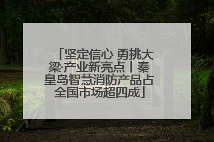 坚定信心 勇挑大梁·产业新亮点丨秦皇岛智慧消防产品占全国市场超四成