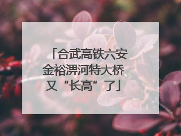 合武高铁六安金裕淠河特大桥又“长高”了