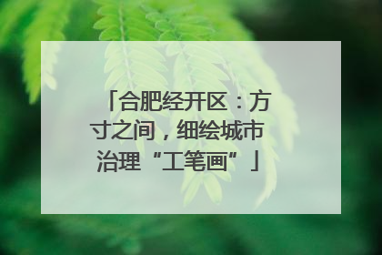 合肥经开区：方寸之间，细绘城市治理“工笔画”