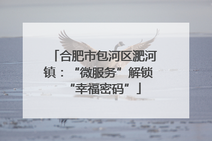 合肥市包河区淝河镇：“微服务”解锁“幸福密码”