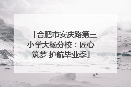 合肥市安庆路第三小学大杨分校：匠心筑梦 护航毕业季