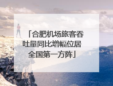 合肥机场旅客吞吐量同比增幅位居全国第一方阵