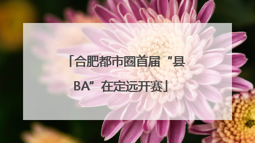 合肥都市圈首届“县BA”在定远开赛
